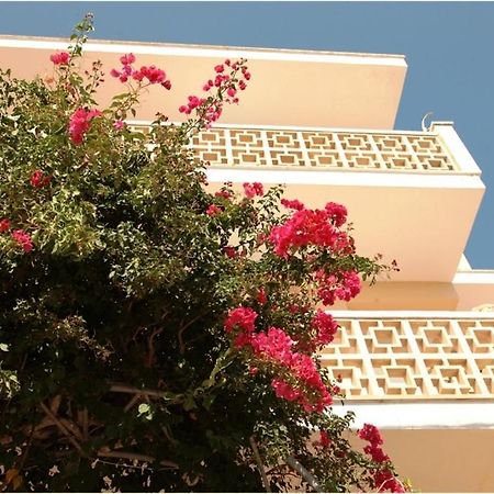 サンタニー Casa De La Vidaホステル エクステリア 写真